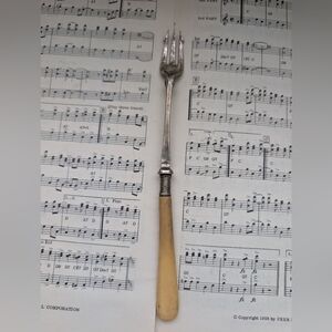 Elegant Silver and Tan Dining Fork